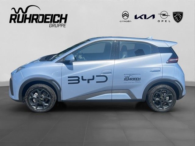 BYD DOLPHIN SURF