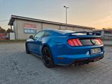 Ford Mustang 5.0 GT V8 Auto/ 1 Jahr Garantie - Ford Mustang: Garantie