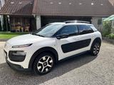 Citroën C4 Cactus PureTech 82 Shine Edition (Automatik) - Citroën C4 Cactus von privat