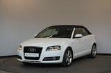 Audi A3 Cabriolet 1.8 S line Sportpaket+ StzHzg PDC - Audi A3: Weiß, Cabrio