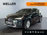 Lexus UX 250h Business Edition *Navi*ACC*Kamera*CarPla - Lexus UX Gebrauchtwagen