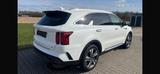 Kia Sorento 2.2 CRDi AWD Platinum DCT8 Platinum - gebrauchte Kia Sorento aus dem Jahr 2023