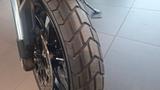 Ducati Scrambler 1100 Dark Pro - Offers