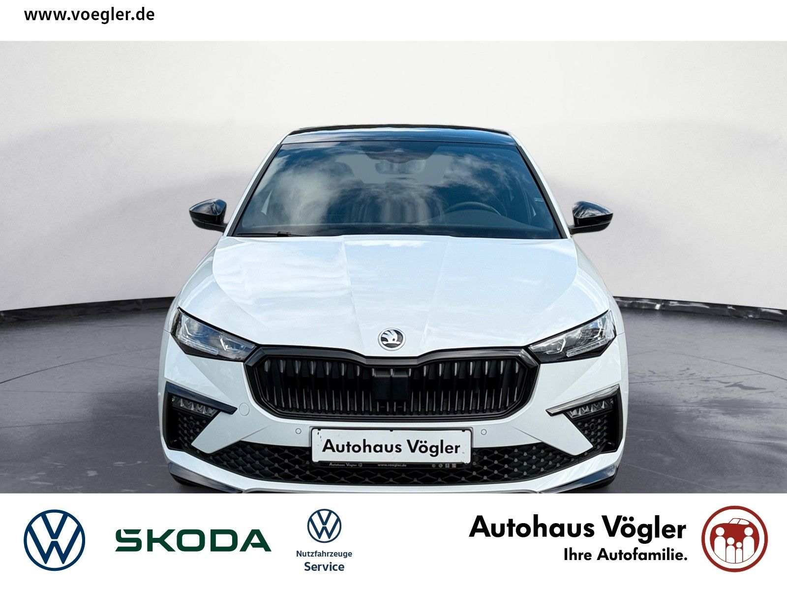 Scala Monte Carlo 1,5 TSI DSG Navi Kamera AHK