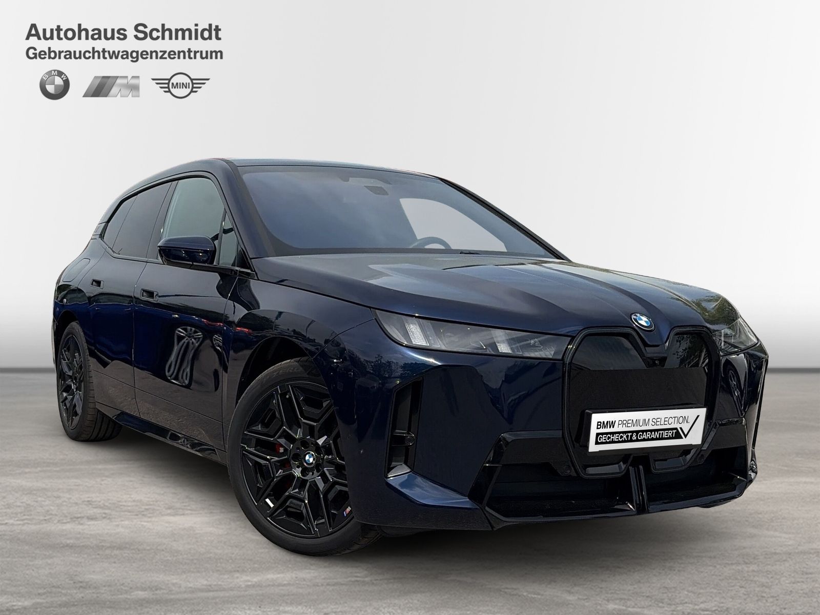 BMW iX - Bild 6