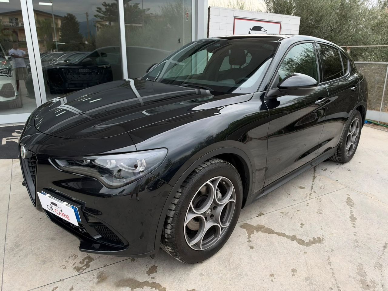 Other Alfa Romeo Stelvio 2.2 Turbodiesel 160 CV AT8 RW