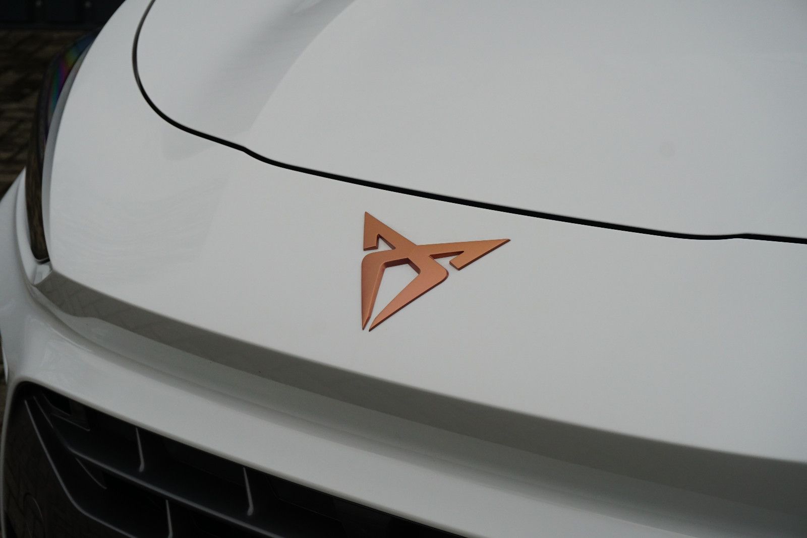 Cupra Terramar - Bild 16