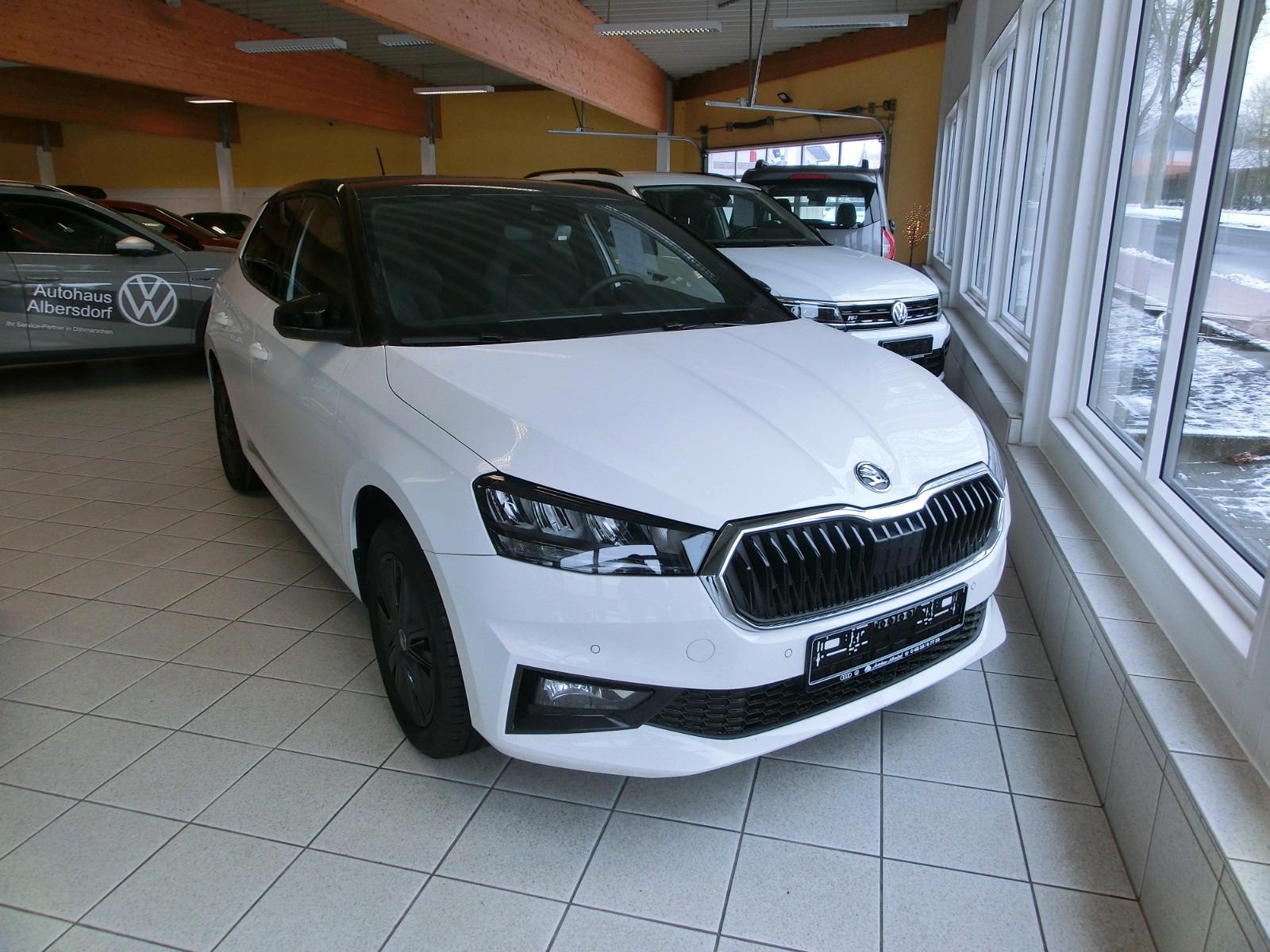 Skoda Fabia Selection Dynamic, AHK,SHZ,Tempomat