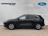 Ford Kuga 1.5 Ecoboost Titanium - Ford Kuga Titanium mit Benzin-Antrieb