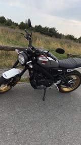 Yamaha XSR 125 Legacy - YAMAHA XSR125 LEGACY