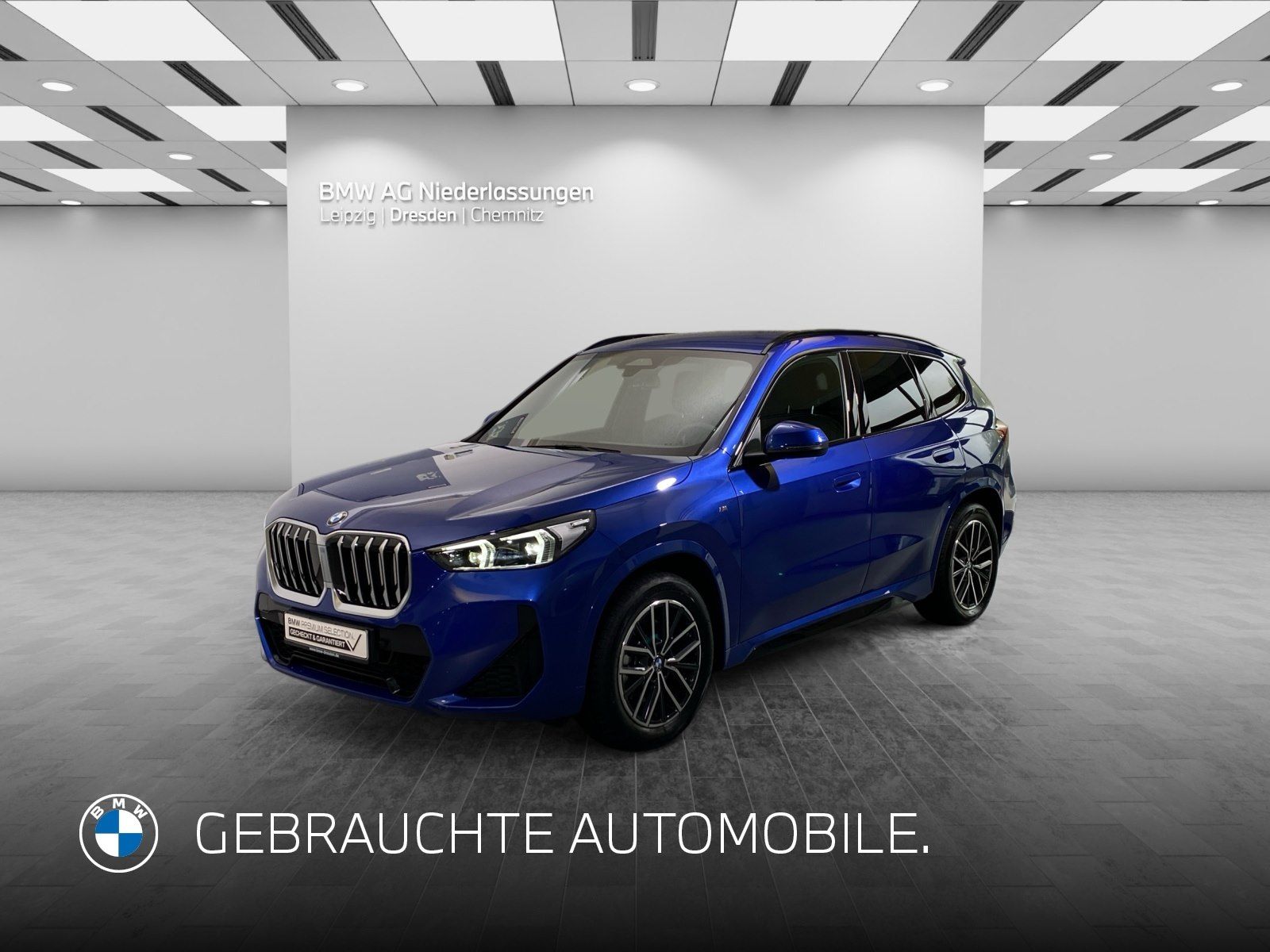 BMW X1 sDrive20i M Sport AHK Driv.Assist+ Harman/K