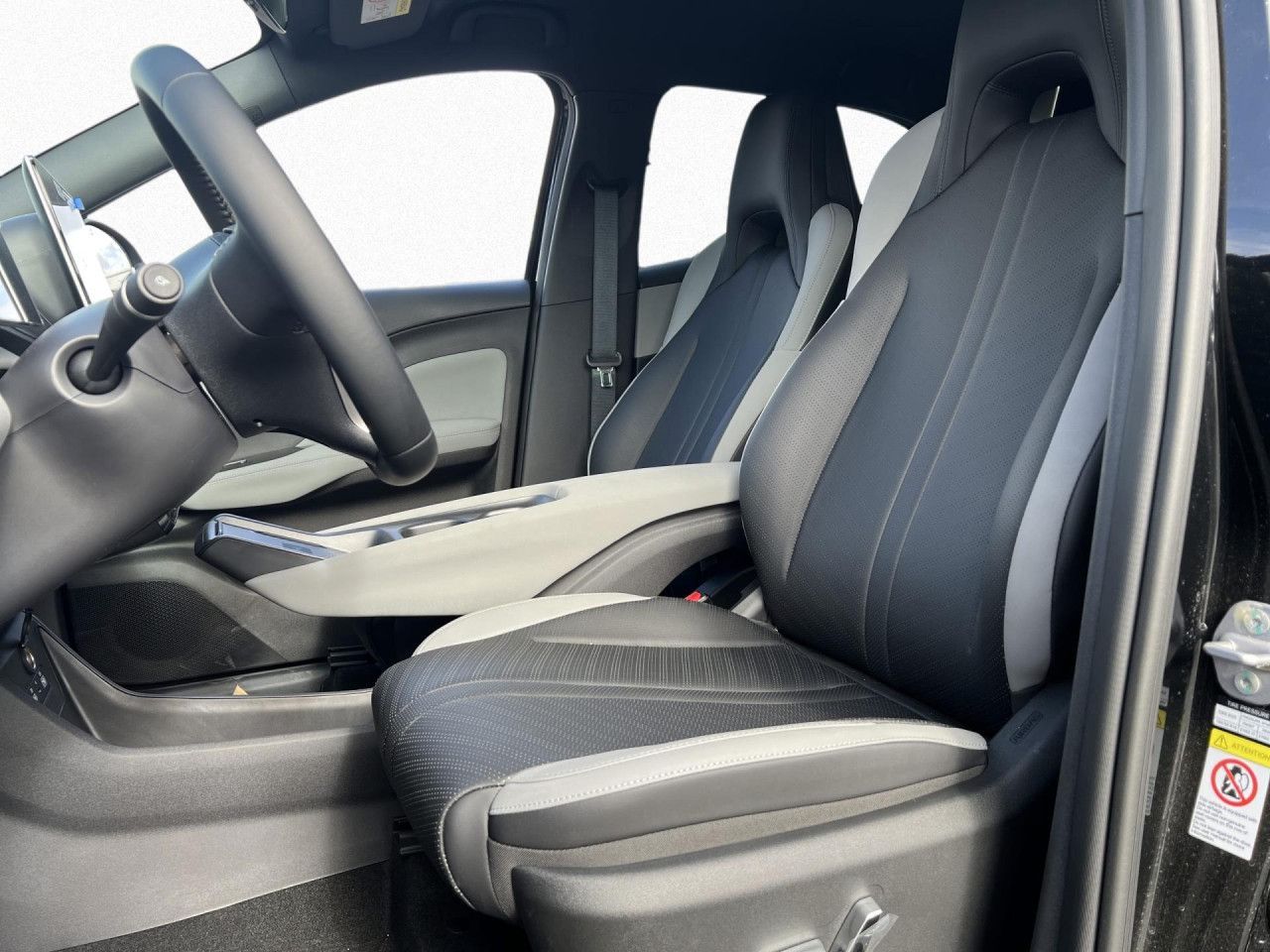 BYD DOLPHIN SURF