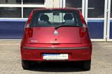 Fiat Punto 1.2 8V DYNAMIC KLIMAAUTOMATIK  1. HAND - Fiat Punto: Rot
