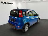 Fiat Panda 1.0 Hybrid GSE Klima PDC Verkehrsschilderk - Fiat Panda mit Hybrid-Antrieb