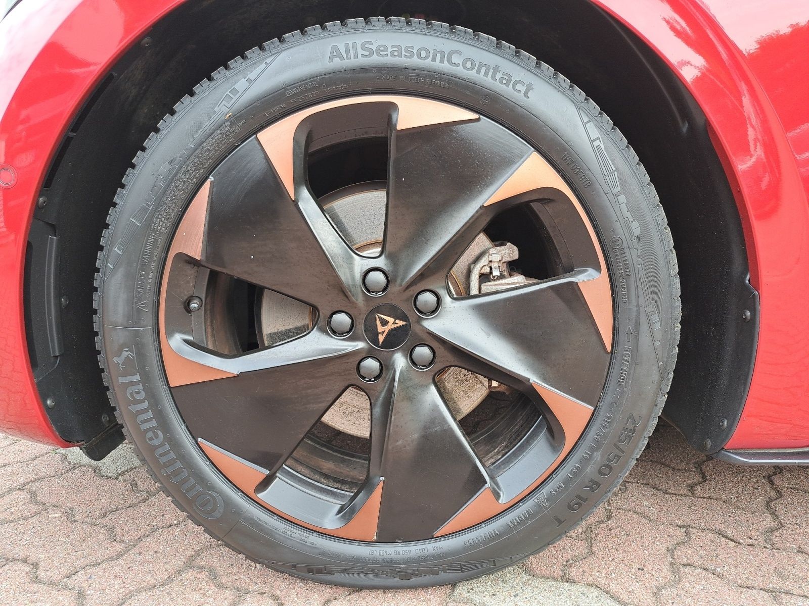 Cupra Born - Bild 10