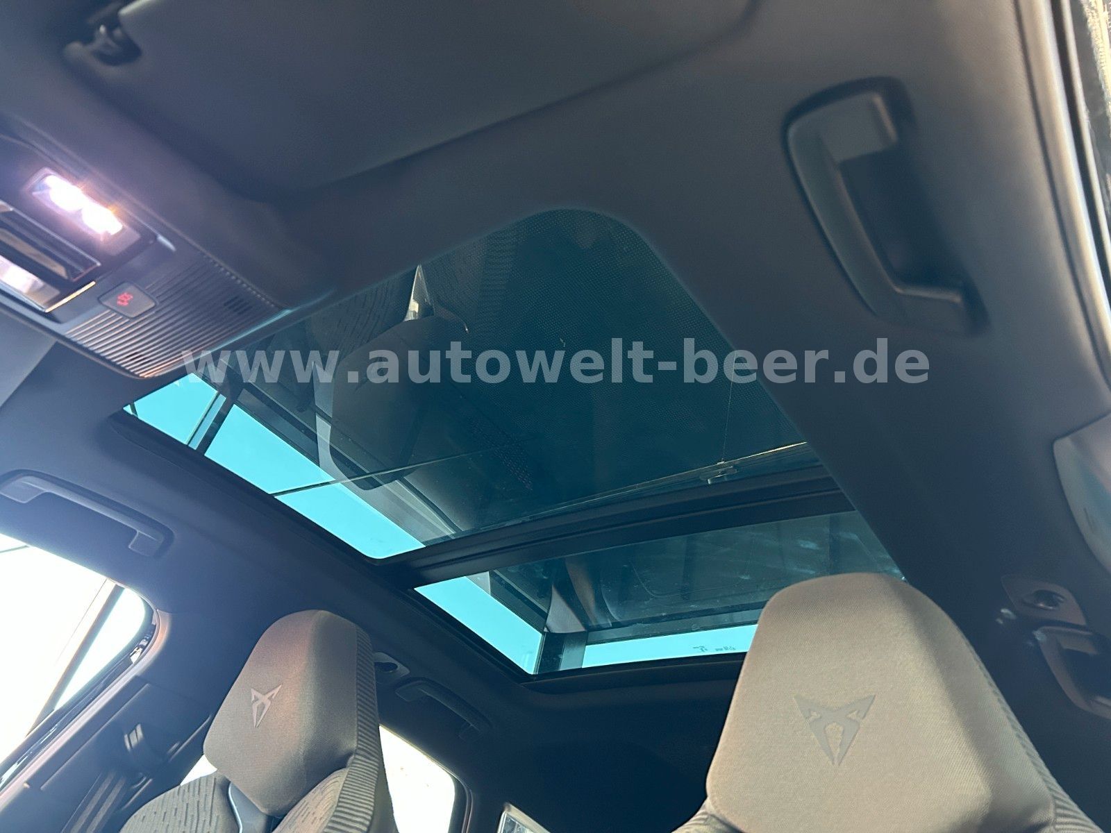 Cupra Terramar - Bild 31