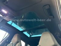 Cupra Terramar - Vorschau Bild 31