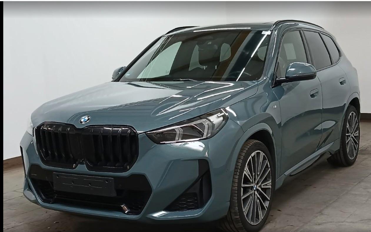 BMW X1 23 d xD M Sport/Pano/Head Up/Memory/20"