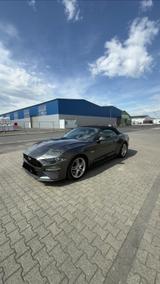 Ford Mustang Cabrio 5.0 Ti-VCT V8 GT Auto GT 11700 KM - Ford Mustang mit Schiebetür