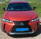 Lexus UX 250h Style Edition Style Edition - Lexus UX: Automatik