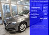 Skoda Octavia Combi 4x4, AHK anklappb.,elt.Heckklappe - Skoda Octavia: Allradantrieb