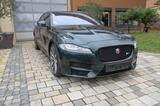 Jaguar XF R-Sport 3,0 X260 Racinggreen 1 Jahre Garantie - Jaguar: Grün