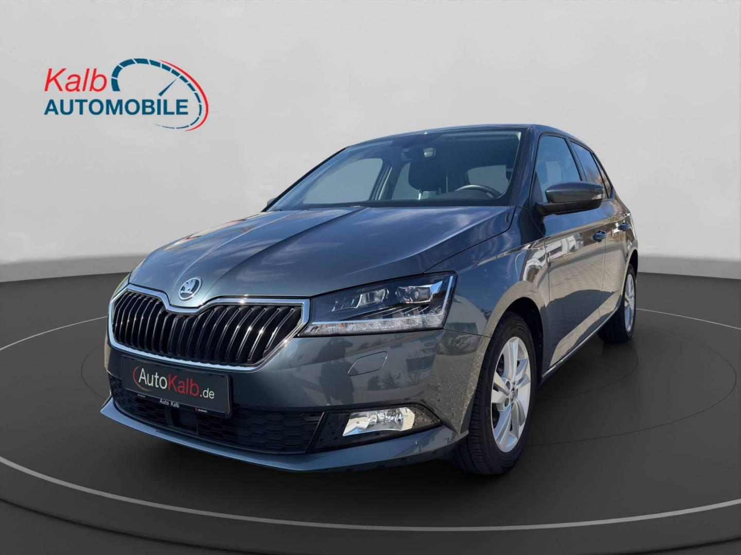 Skoda FABIA 1.0TSI STYLE+RFK+SHZ+LED+TEMPOMAT