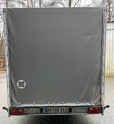Wörmann Street-Mexx 3552/210 XXL - Offers matching your search criteria