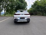 BMW X6 xDrive40d   - BMW X6 aus 2023