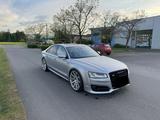 Audi S8 4.0 TFSI plus tiptronic quattro -  - Audi S8: Plus