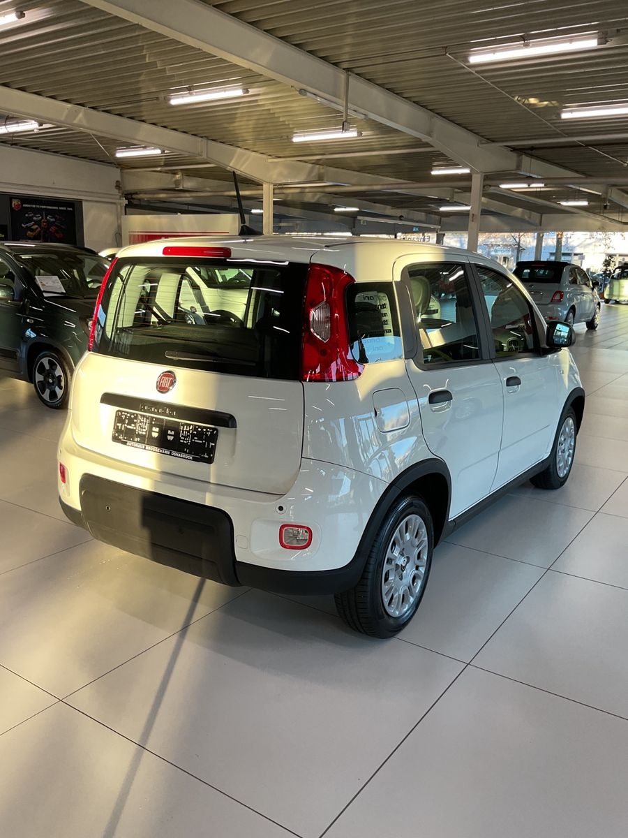 Fahrzeugabbildung Fiat Panda Hybrid 1.0 GSE