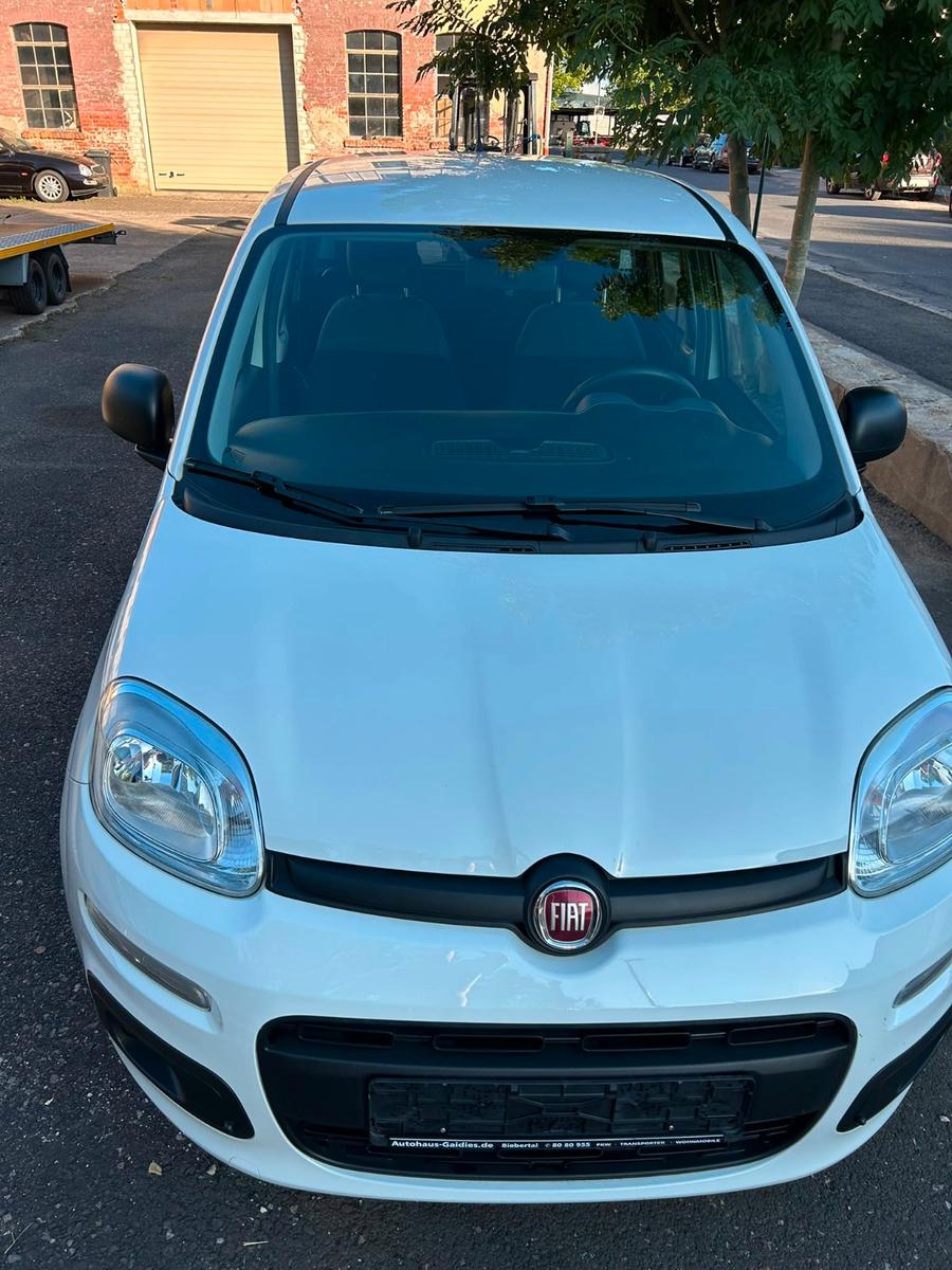 Fiat Panda Easy - Klima - 1 Hand - TÜV neu