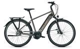 Raleigh BRISTOL PREMIUM 28" 55 cm - Raleigh E-Bikes