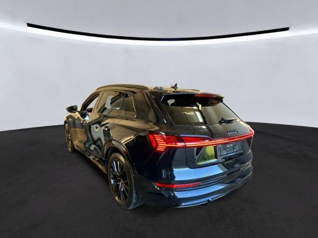 Audi e-tron - Bild 2