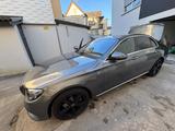 Mercedes-Benz E 250 AVANTGARDE Autom. AVANTGARDE - Mercedes-Benz E 250: Avantgarde