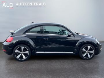 Volkswagen Beetle - 6