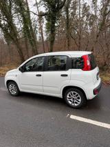 Fiat Panda  - Fiat Panda Gebrauchtwagen in Karlsruhe