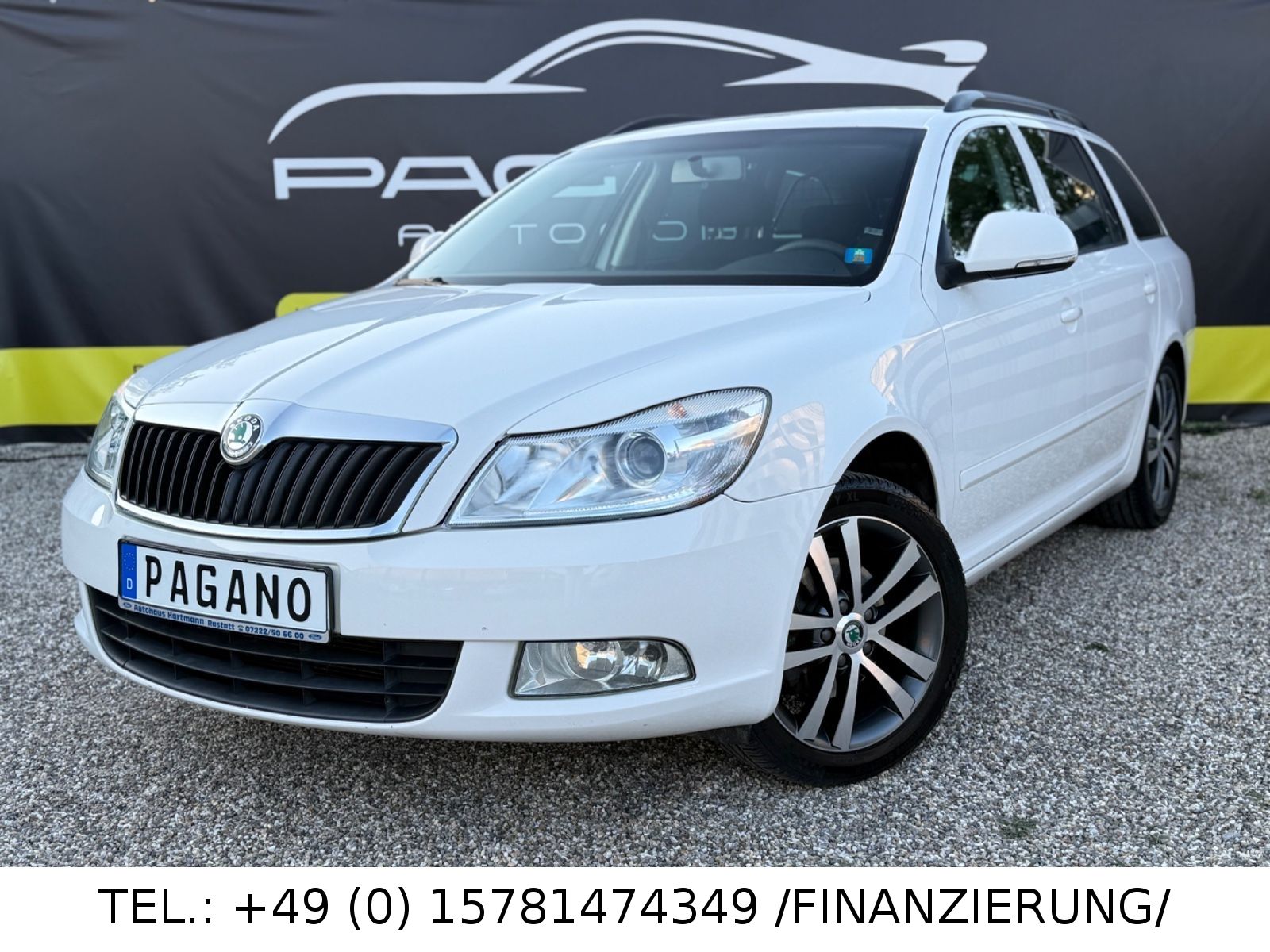 Skoda Octavia in Weiß bei Pagano Automobile Bild 1 von 1