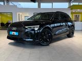 Audi e-tron 50 quattro basis*RFK*Ambiente*Standklima* - mit Elektro-Antrieb: Leder