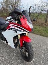 Honda CBR 600 PC41 - Offers