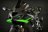 Kawasaki ZX10R 2026 RSI-BODIS Black Power-Edition ,,HP215 - KAWASAKI ZX10R