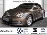 Volkswagen New Beetle Cabriolet Design 1.2 TSI , Leder, Alu - Volkswagen New Beetle: Cabrio