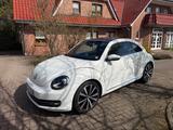 Volkswagen Beetle 2.0 TDI Exclusive Design Exclusive Design - Volkswagen Beetle: Exclusive Design