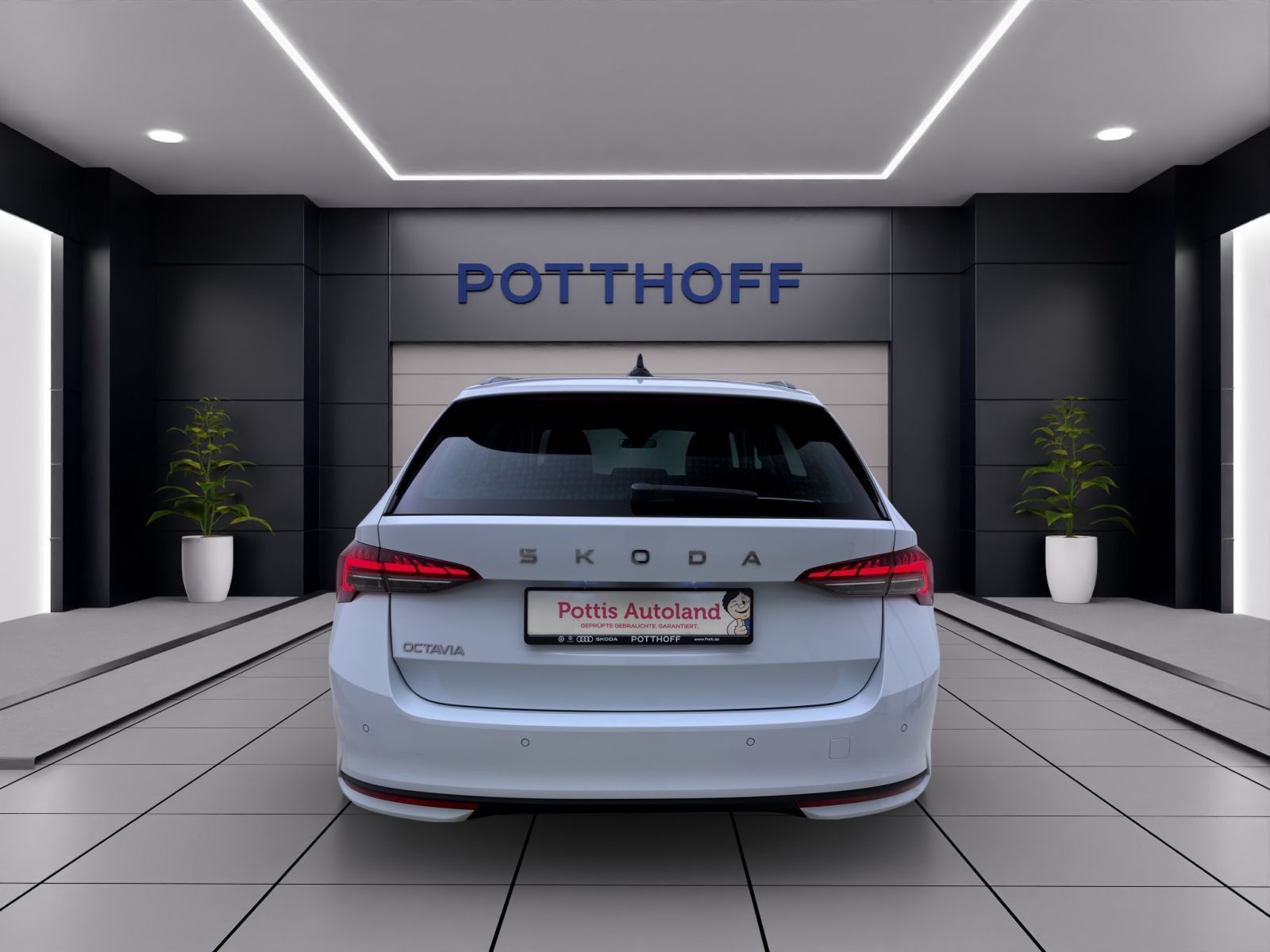 Skoda Octavia - Bild 4