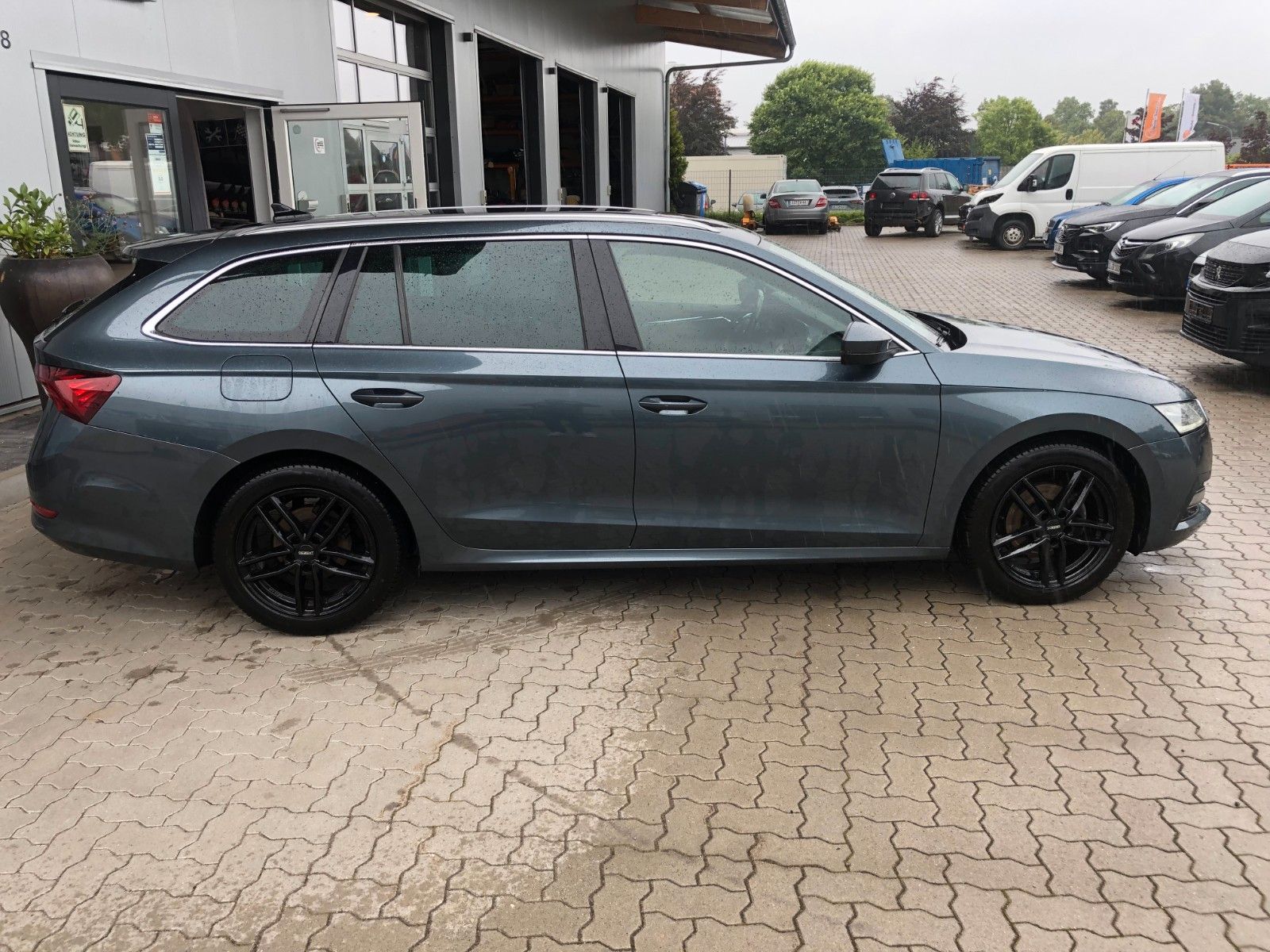 Fahrzeugabbildung SKODA Octavia Combi First Edition