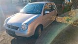Volkswagen VW Lupo 1.0 College 6x Winterauto Kleinwagen - Volkswagen Lupo: 1.6