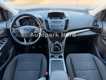 Ford Kuga - 9