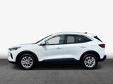 Ford Kuga 2.5 Duratec FHEV TITANIUM 112 kW, 5-türig - Ford Kuga mit Benzin-Antrieb: Geländewagen