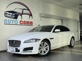 Jaguar JAGUAR XF 2.0 D 180 CV aut. Portfolio MOTORE NUO - Jaguar XF: Portfolio