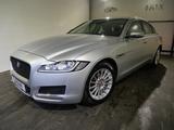 Jaguar XF Pure 2.0d Leder/Navi/KeylessGo/PDC - silberne Jaguar XF